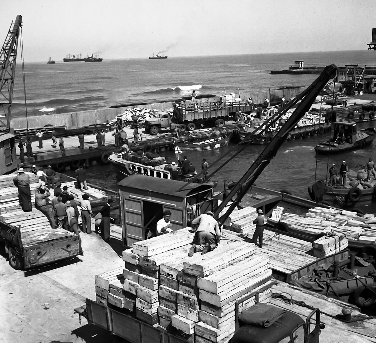 Carrying sacks on the pier of Tel Aviv Port, 1936