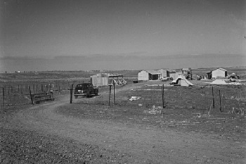 11 Points Operation – settlement of the Negev